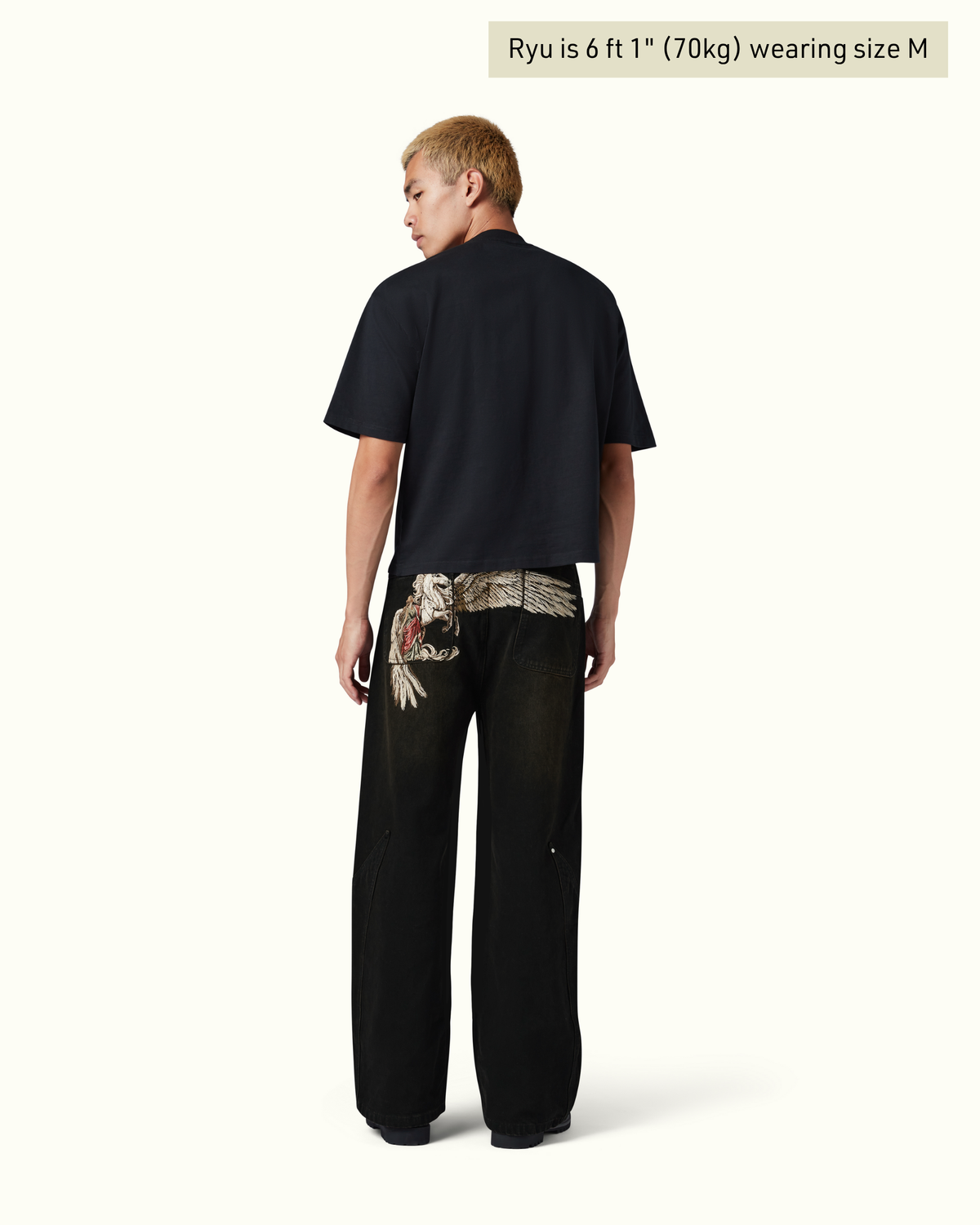 Pegasus Denim